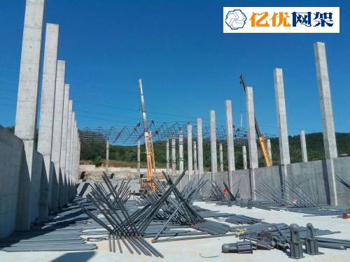 莱芜料棚网架设计